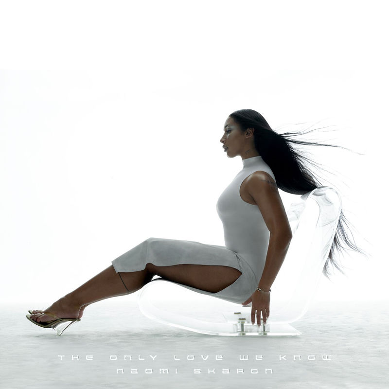 Can We Do This Over - Naomi Sharon