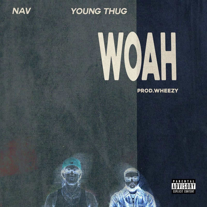ووا (WOAH) - ناو و یانگ تاگ (NAV)