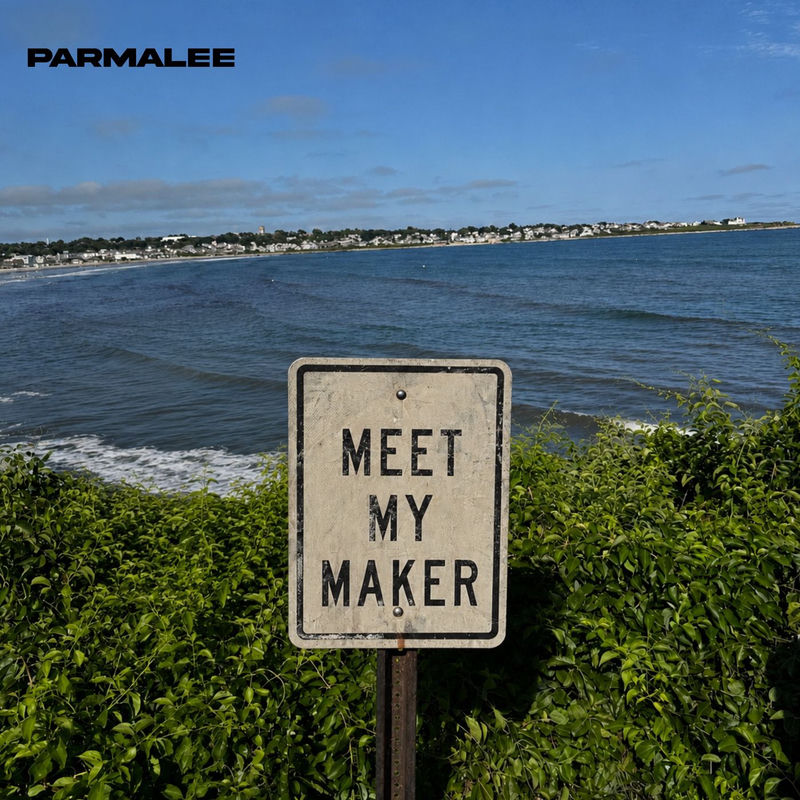 میت مای میکر (Meet My Maker) - پارمالی (Parmalee)