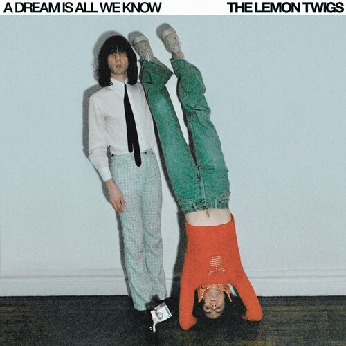مای گولدن ییرز (My Golden Years) - د لمون تویگز (The Lemon Twigs)