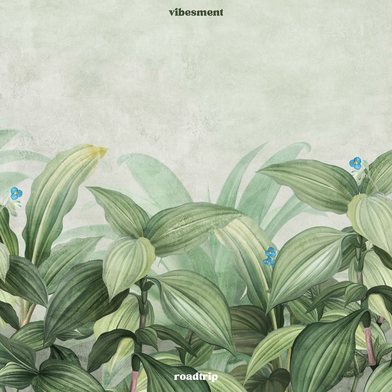 roadtrip - vibesment
