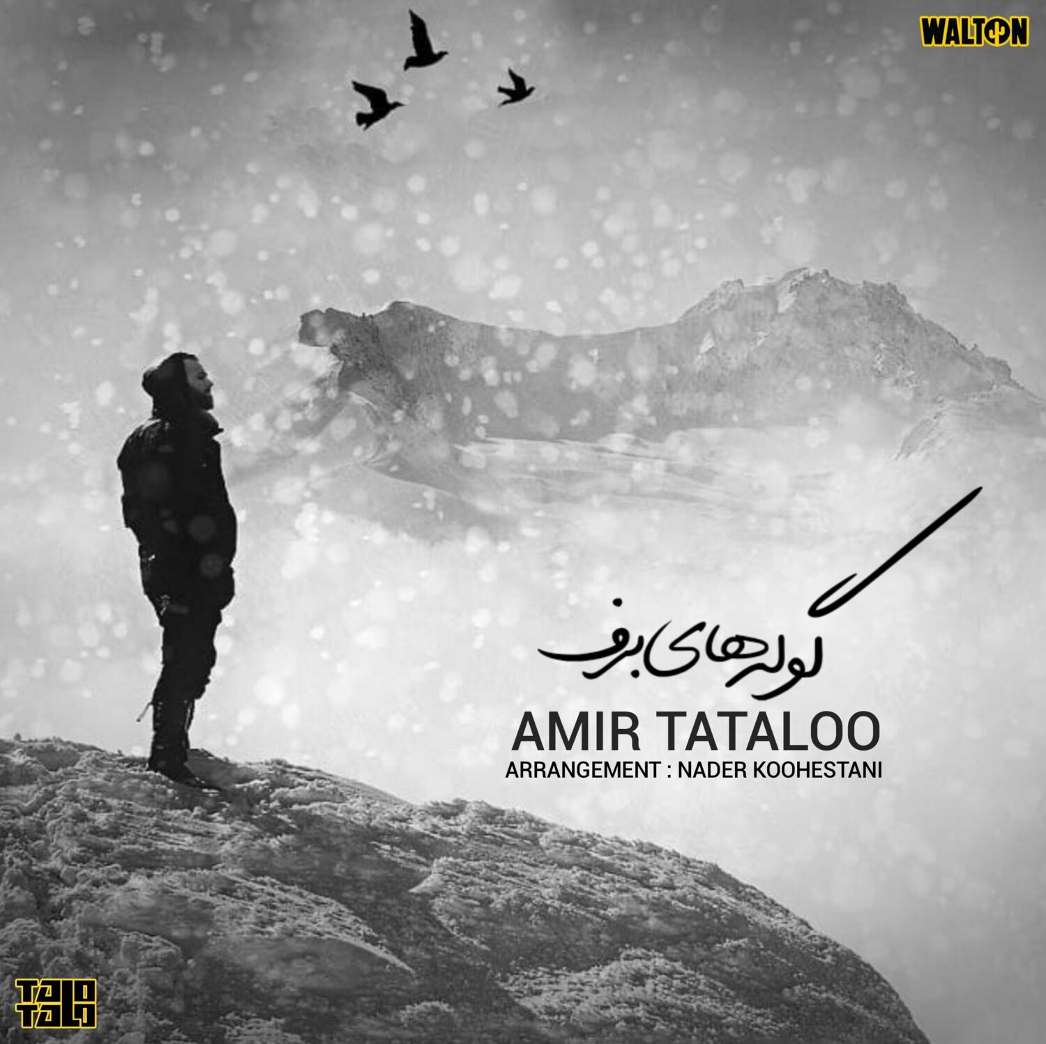 Goolehaye Barf - Amir Tataloo