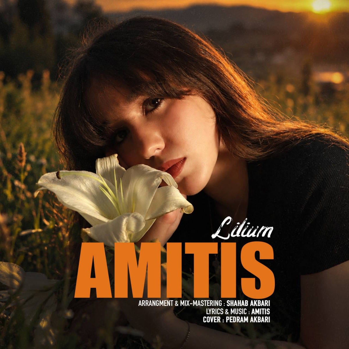 لیلیوم (Lilium) - آمیتیس (Amitis)