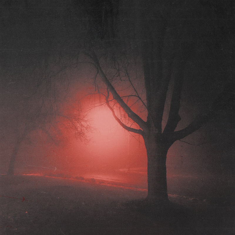 elm street - budtender