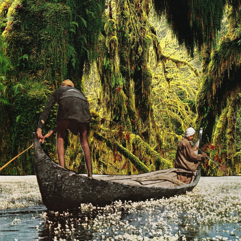 دیپ فارست (Deep Forest) - هاوی‌واندر و واتاسینو (Howiewonder)