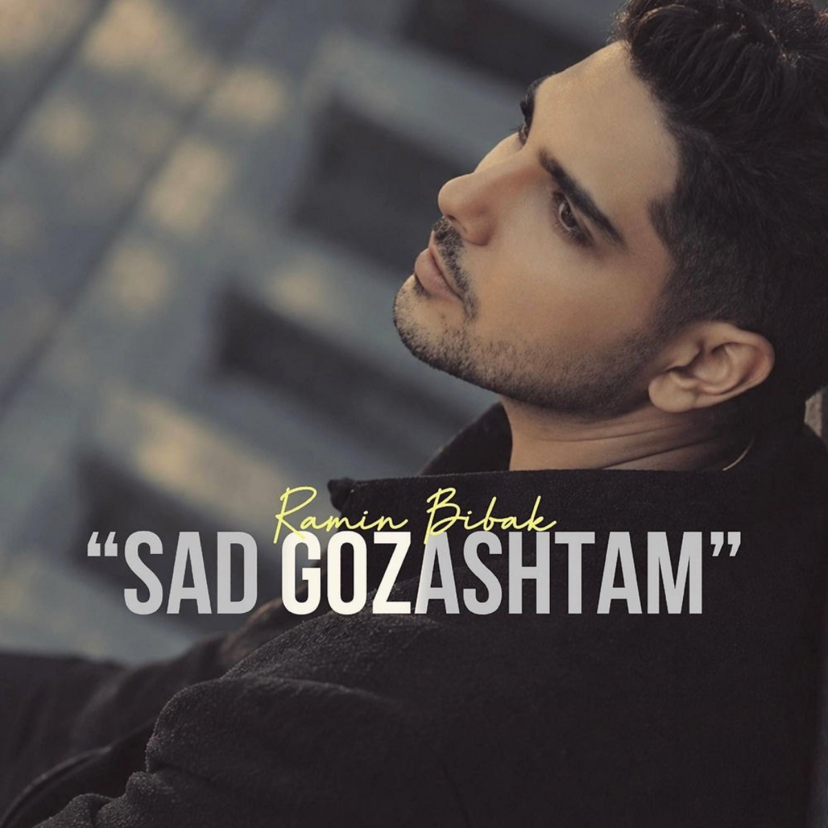 صد گذاشتم (Sad Gozashtam) - رامین بی باک (Ramin Bibak)