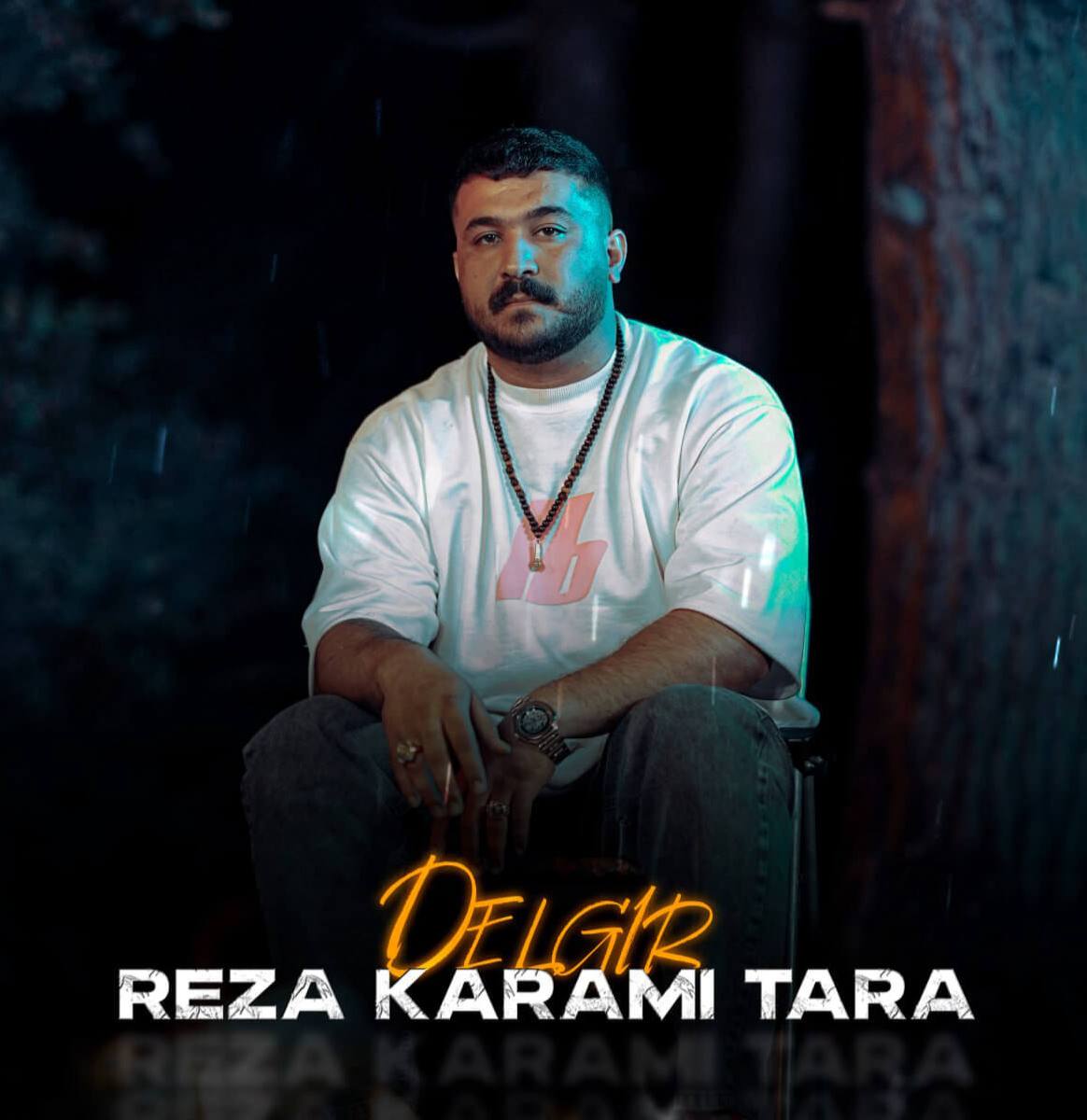 دلگیر (Delgir) - رضا کرمی تارا (Reza Karami Tara)