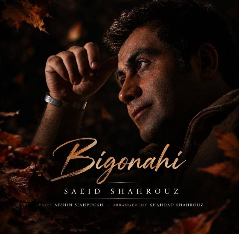 بی گناهی (Bi Gonahi) - سعید شهروز (Saeid Shahrouz)
