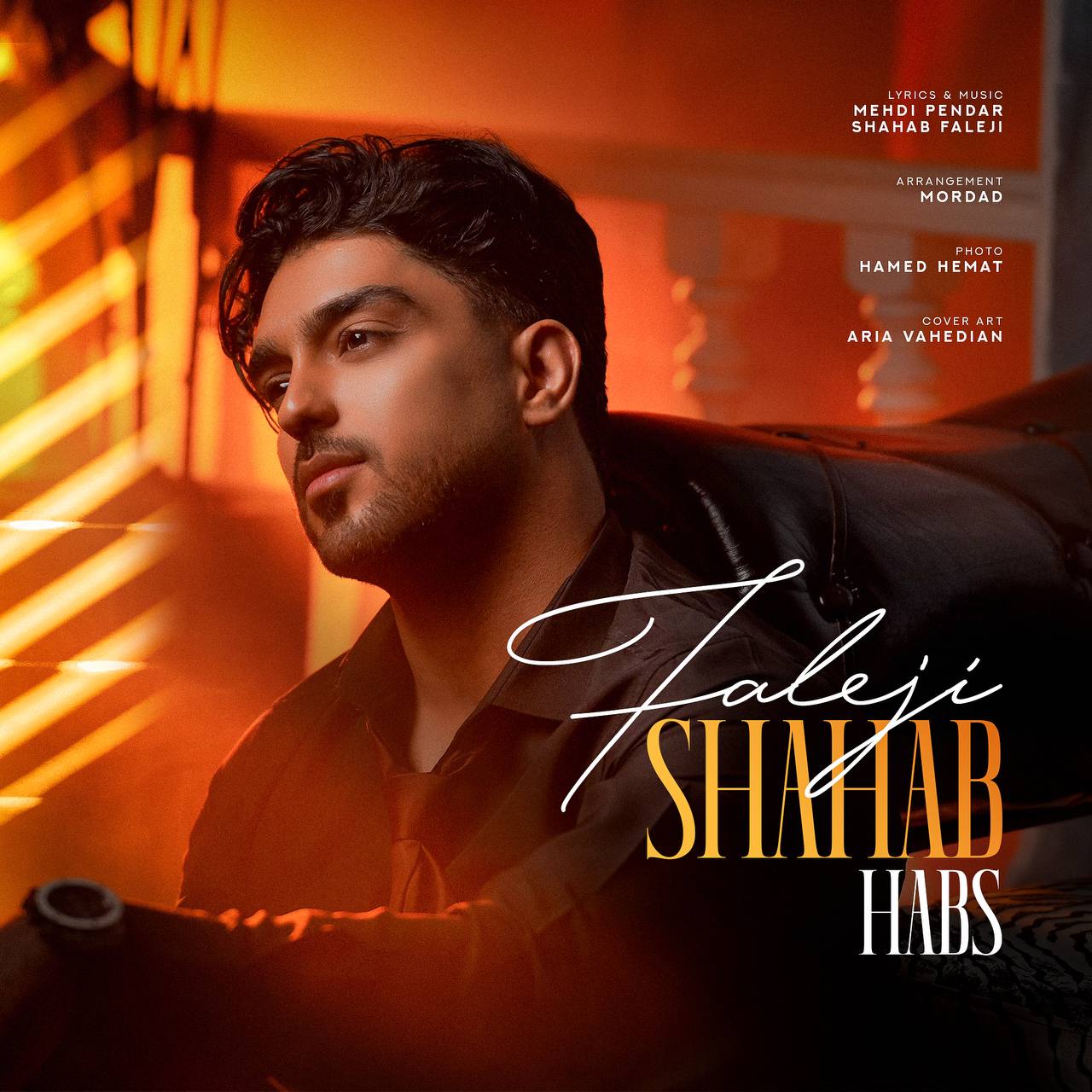 حبس (Habs) - شهاب فالجی (Shahab Faleji)